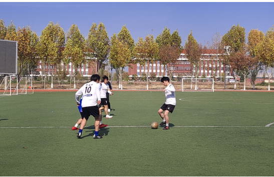 BCFA1
